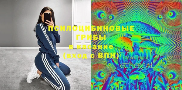 амф Алзамай